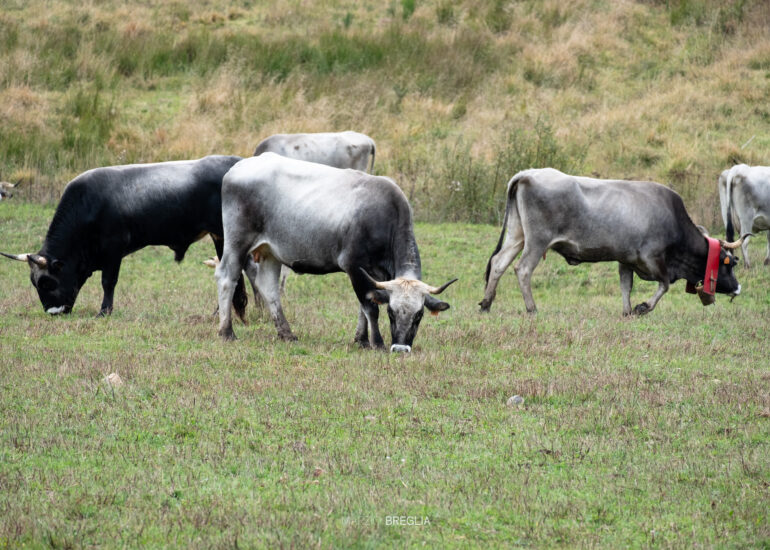 Marketing Territoriale Foto Marzio Breglia