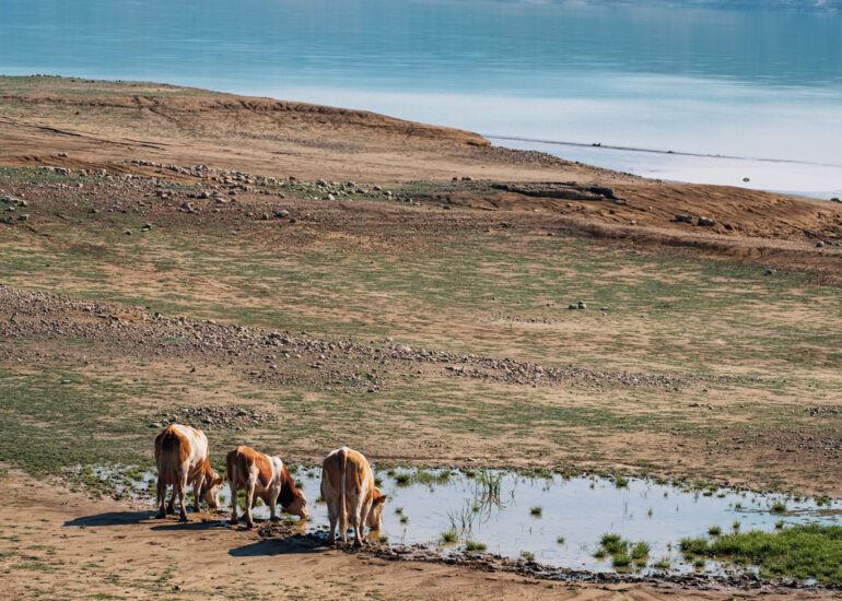 Marketing Territoriale Foto Marzio Breglia