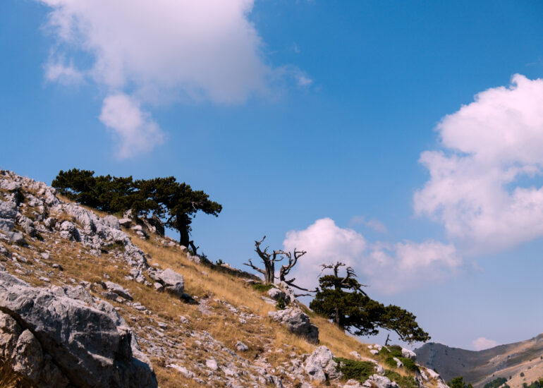 Marketing Territoriale Foto Marzio Breglia