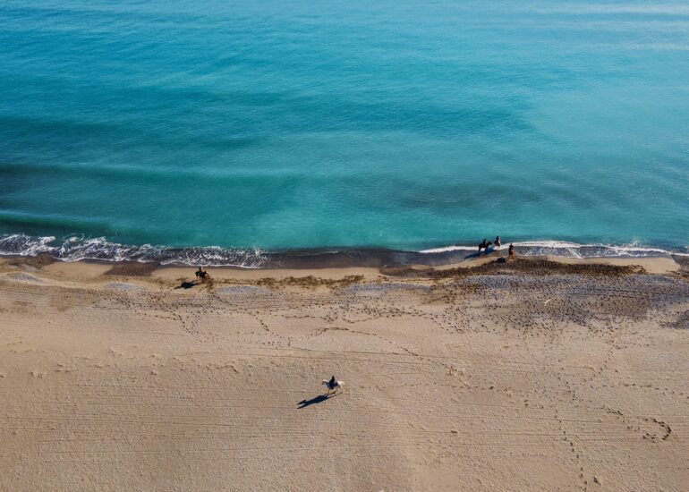 Marketing Territoriale